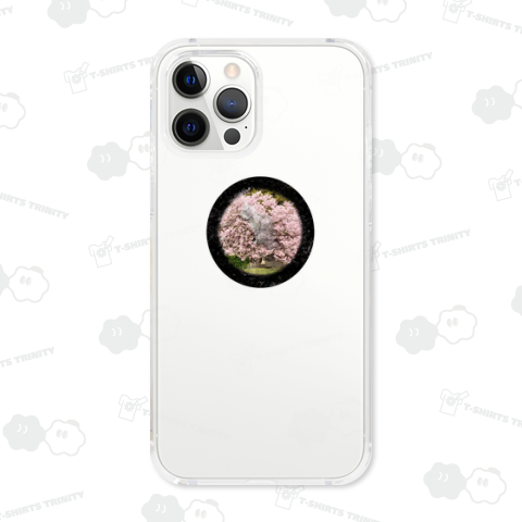 桜に包まれたねこ