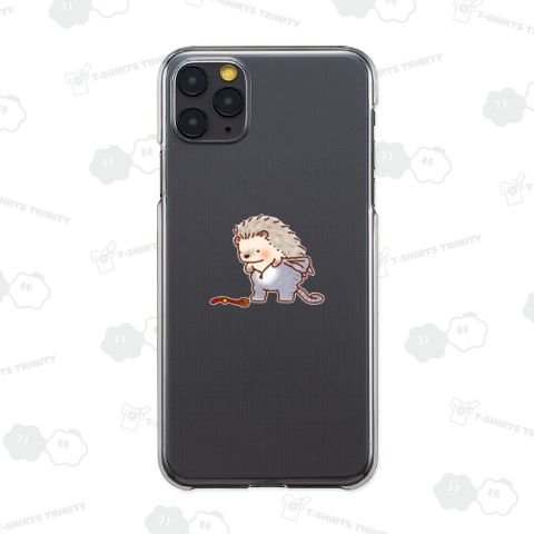 猫を被ろうとするはりねずみ