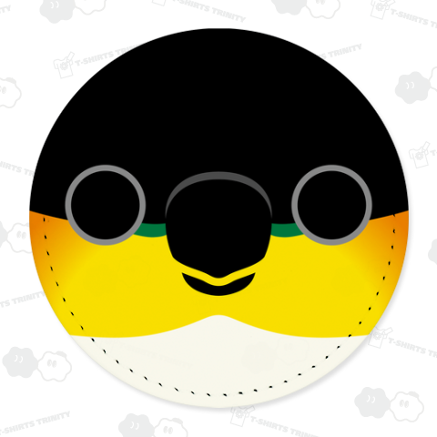 ズグロシロハラインコの顔