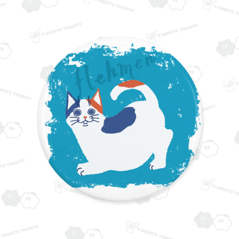 フレーメンCAT ミケ