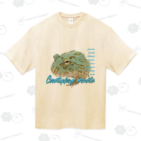 ベルツノガエル