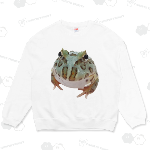 Pacman Frog(ベルツノガエル)