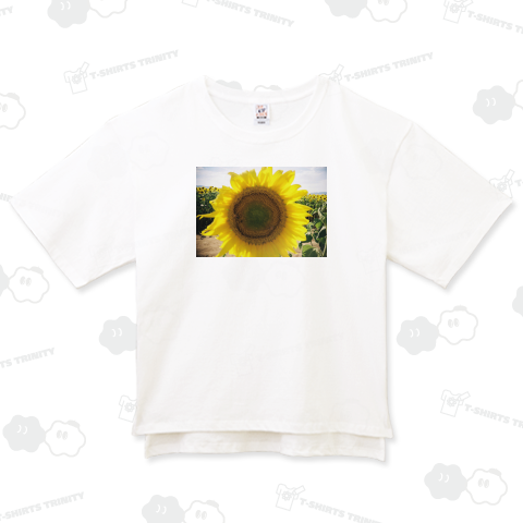 ひまわりと蜜蜂