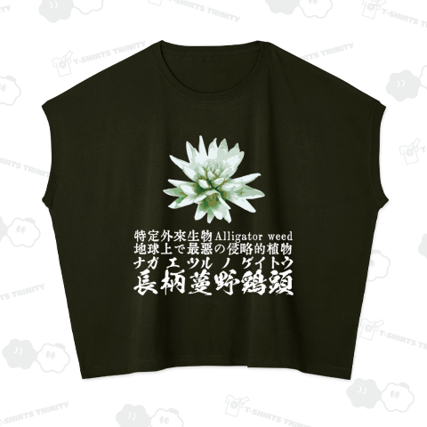 ナガエツルノゲイトウ 地球上で最悪の侵略的植物