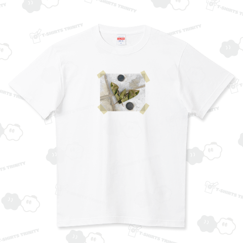 ウンモンスズメ(雲紋雀)
