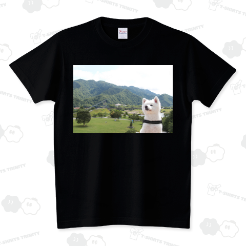 自然と日本スピッツ