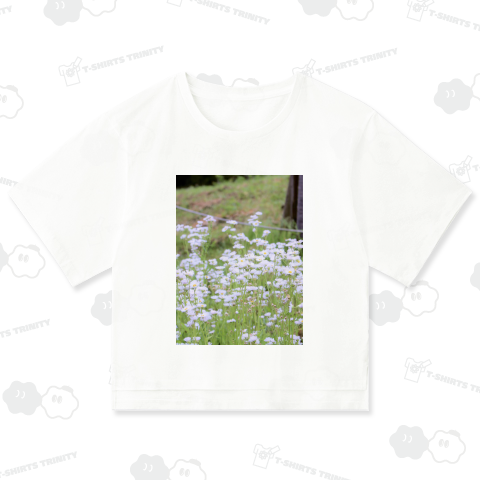 ヒナギクのお花畑(縦)