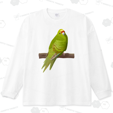 キガシラアオハシインコ(カスタマイズ可)