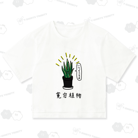 寛容植物