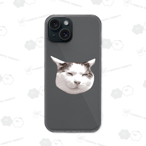 悟りを開いた猫