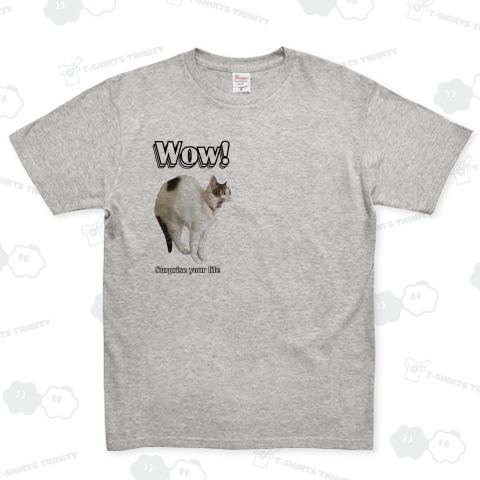 さぷら〜〜いず