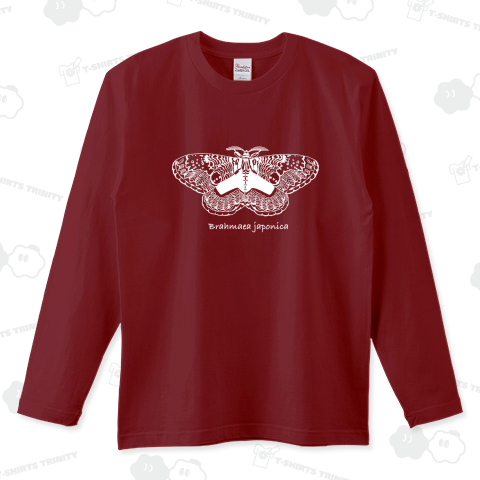 Brahmaea japonica (white)