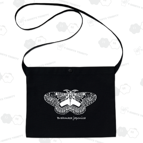 Brahmaea japonica (white)