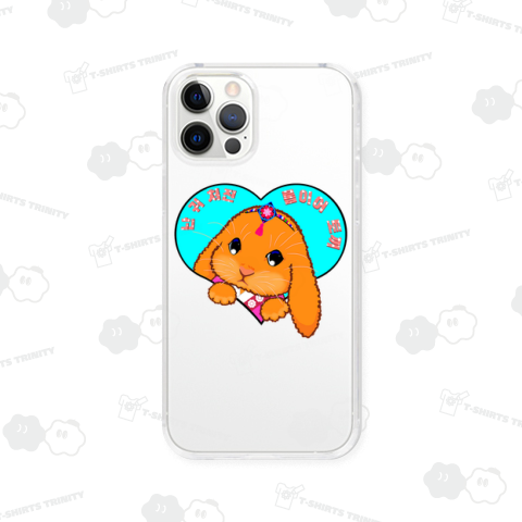 ロップイヤーラビット 韓服お正月バージョン