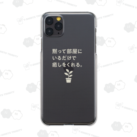 部屋で癒しの植物