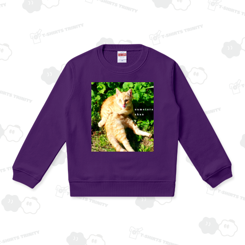 なめたらアカン猫