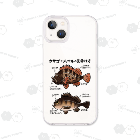 カサゴとメバルの見分け方