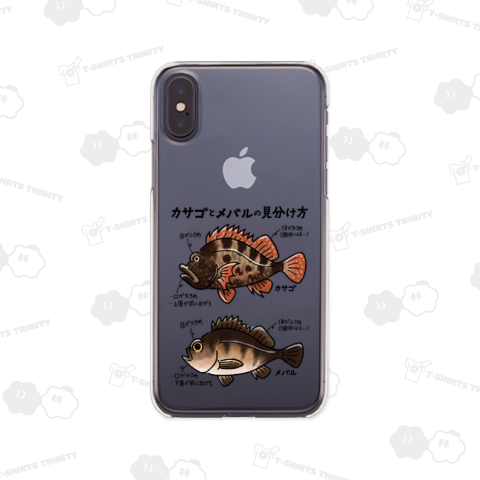 カサゴとメバルの見分け方