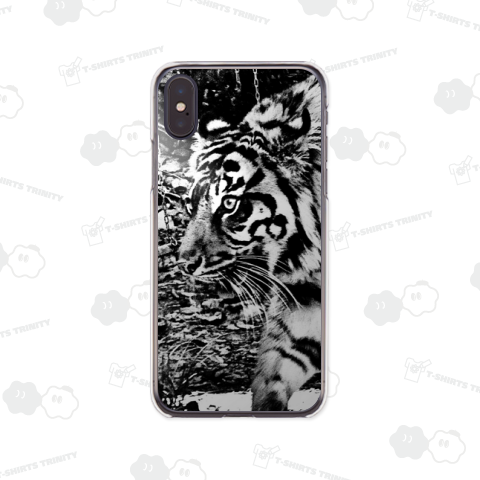 浜の動物シリーズ - トラ(闇夜で獲物を狙って‼)