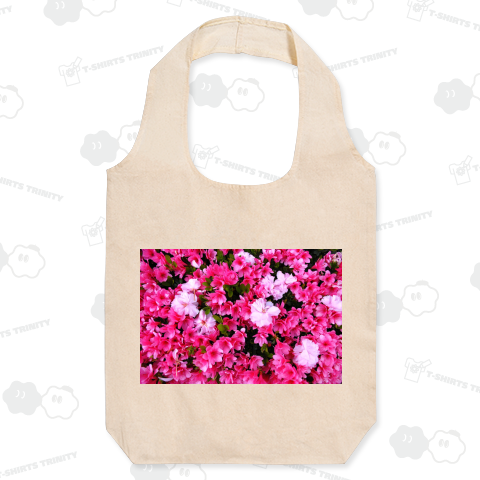 ツツジにサクラ