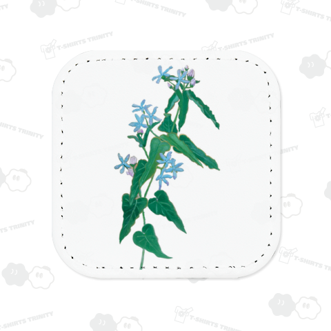 ブルースター お花 日本画