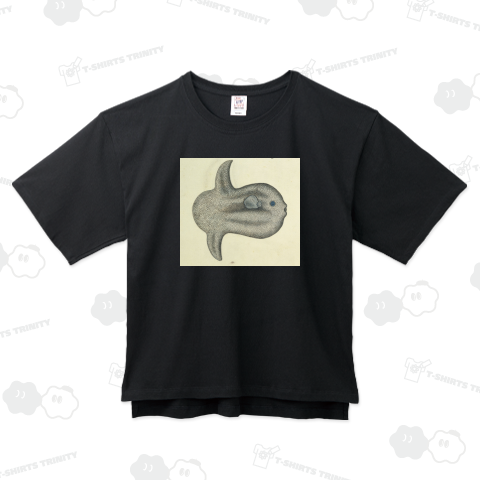 モラ・モラ(マンボウ) ロバート・ジェイコブ・ゴードン(帰属) 1783年頃またはそれ以降