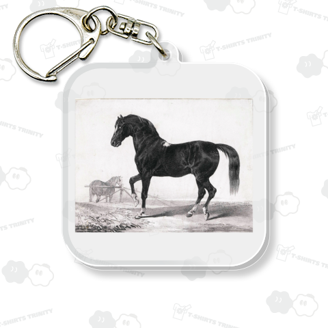 Study of a Horse, Victor Adam (possibly), 1811 - 1866