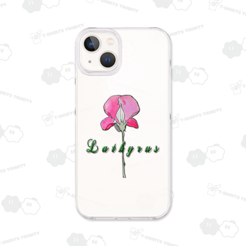 Lathyrus[スイートピー]