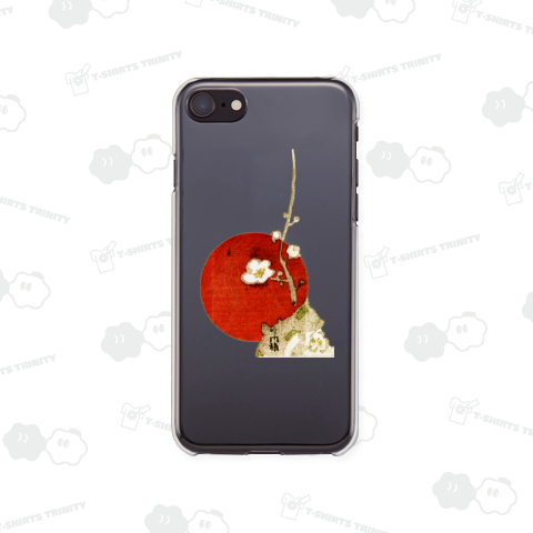 夕日に照らされる白い花