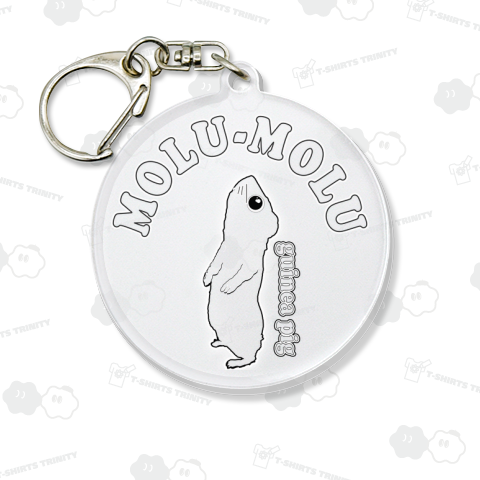 MOLU-MOLU1〇 モルモット