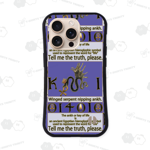 アンクを銜えた翼のある蛇&メジェド