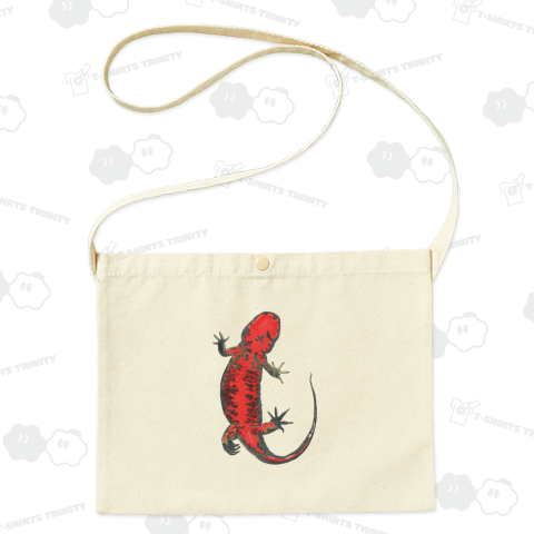 アカハライモリ