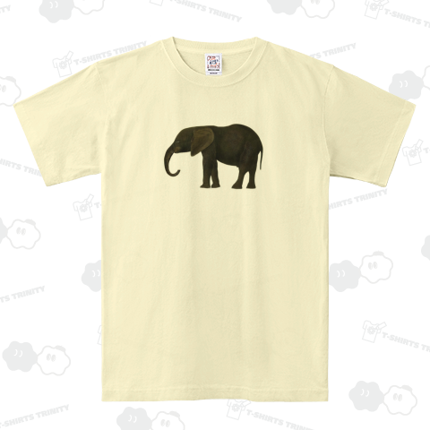 Young African Elephant / 若いアフリカゾウ