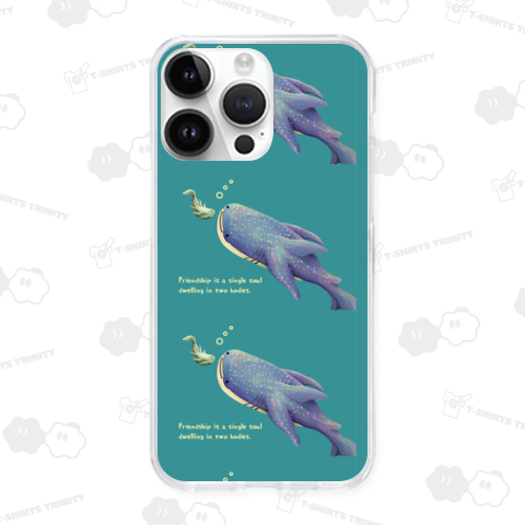 ジンベイザメとコバンザメ