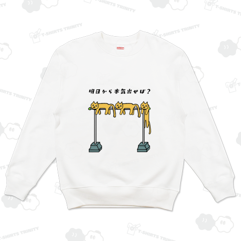 明日から本気出せば?3匹