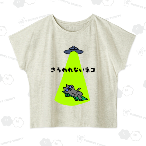 さらわれないネコ3