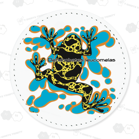 キオビヤドクガエル(STREET ver)