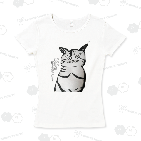 こんな猫知りませんか?