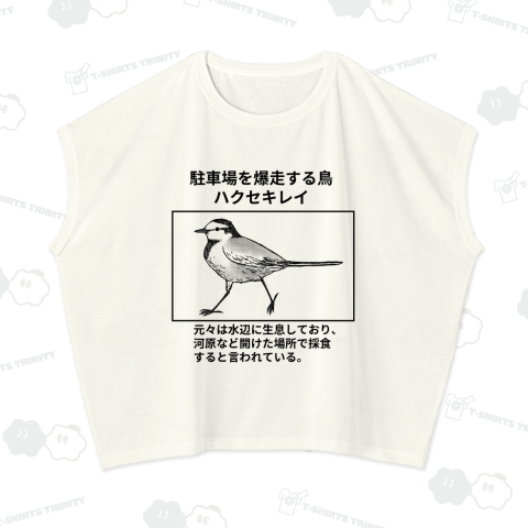 駐車場を爆走する鳥ハクセキレイ(線画)