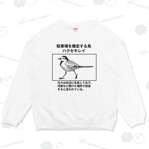 駐車場を爆走する鳥ハクセキレイ(線画)