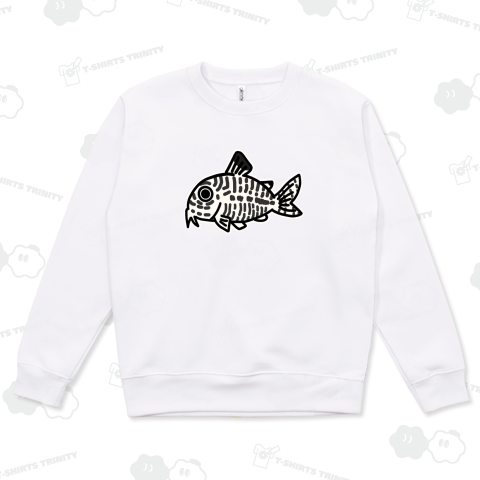 コリドラス・ジュリー