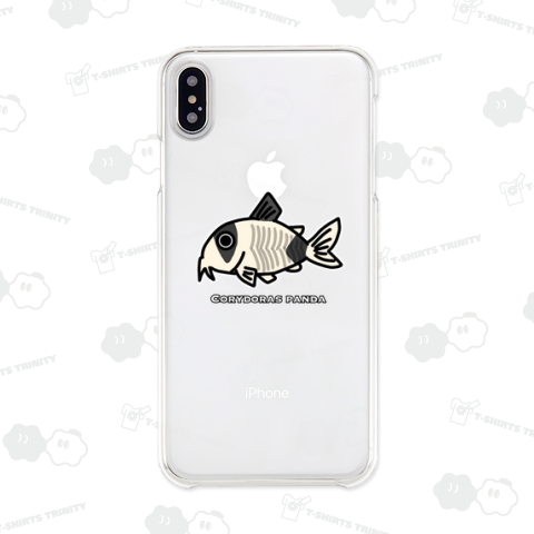 コリドラス・パンダ 学名入り