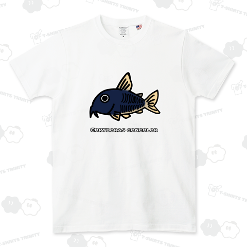 コリドラス・コンコロール 学名入り