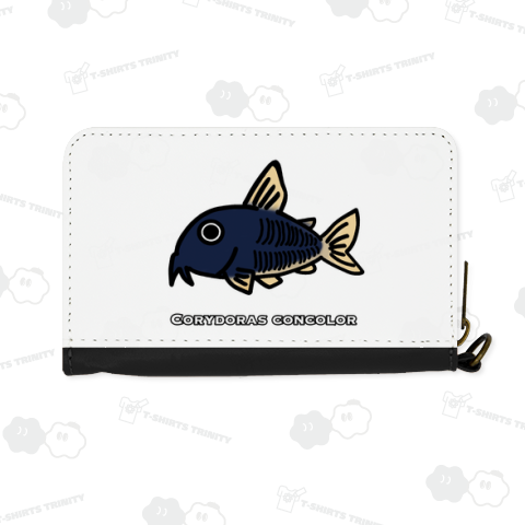 コリドラス・コンコロール 学名入り