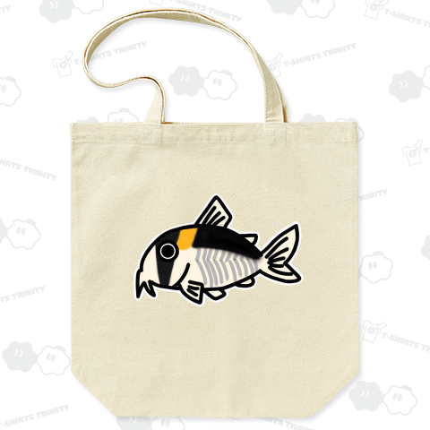 コリドラス・アドルフォイ