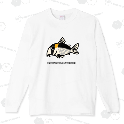 コリドラス・アドルフォイ 学名入り