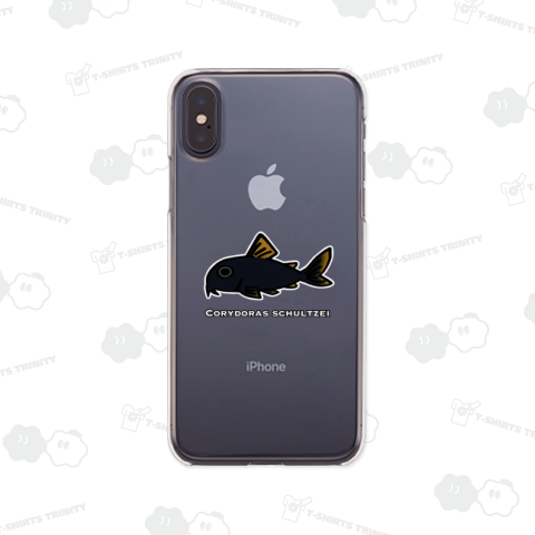 コリドラス・ベネズエラブラック 学名入り