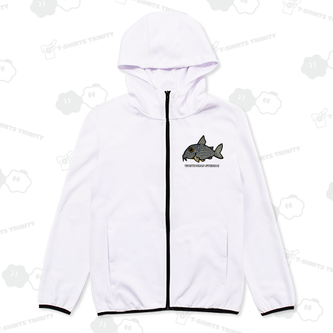 コリドラス・ステルバイ 学名入り