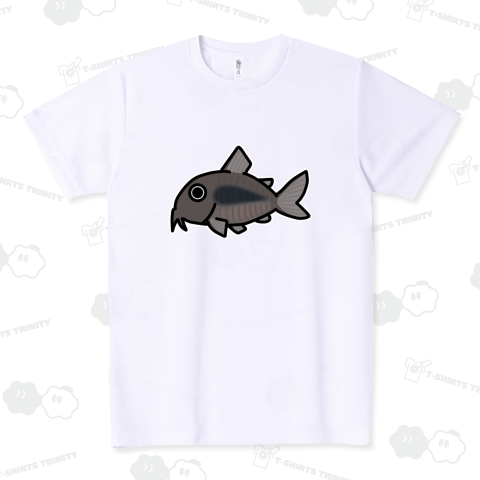 コリドラス・アエネウス