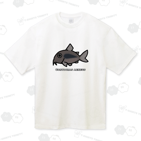 コリドラス・アエネウス 学名入りVer.